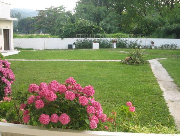 Palatino Studios Agia Paraskevi  Exterior foto